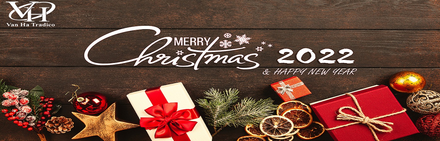 banner21 - Merry Christmas & Happy New Year 2022